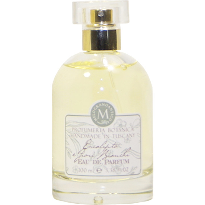 Eucalipto e Fiori Bianchi